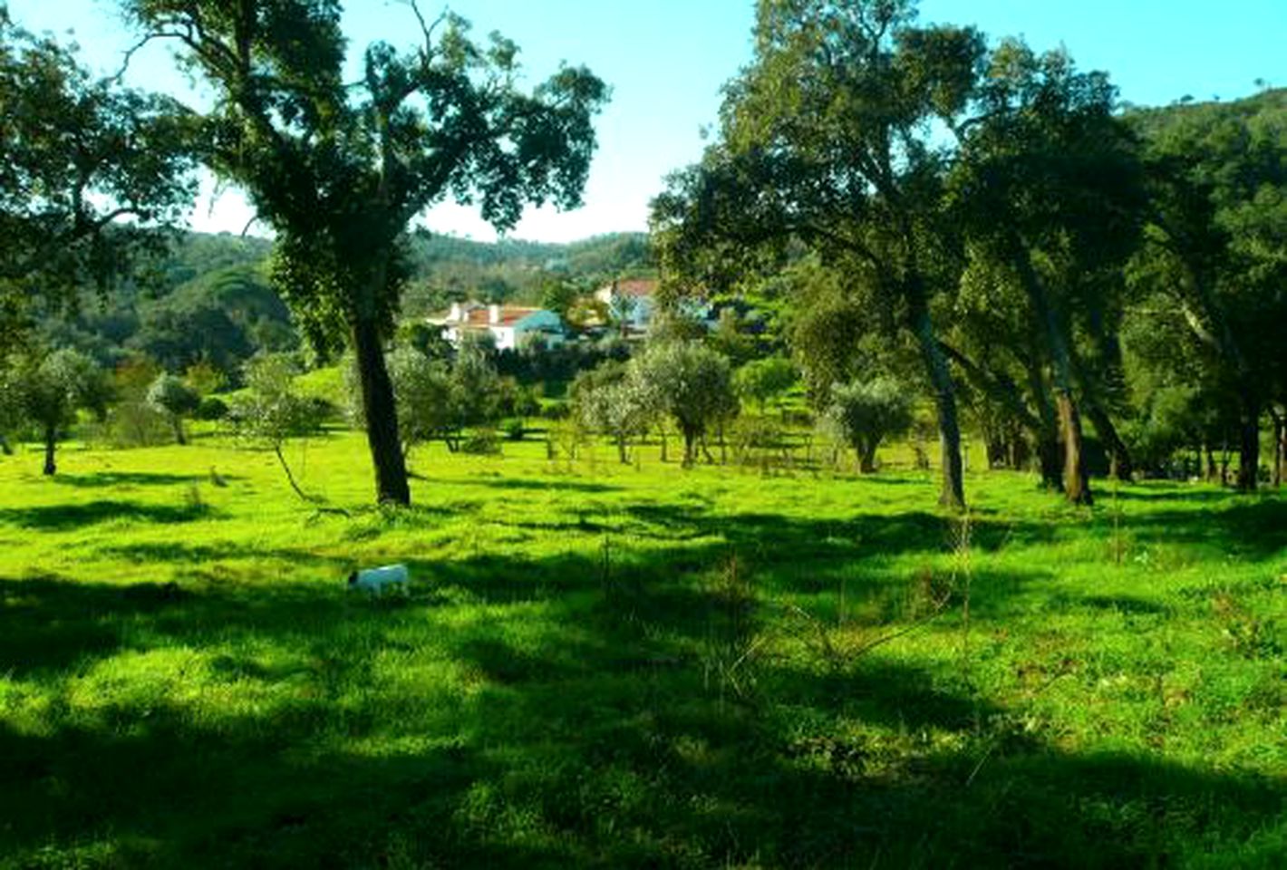 Peaceful Cottage Rental at a Unique Glamping Resort in the Countryside near Lisbon, Portugal