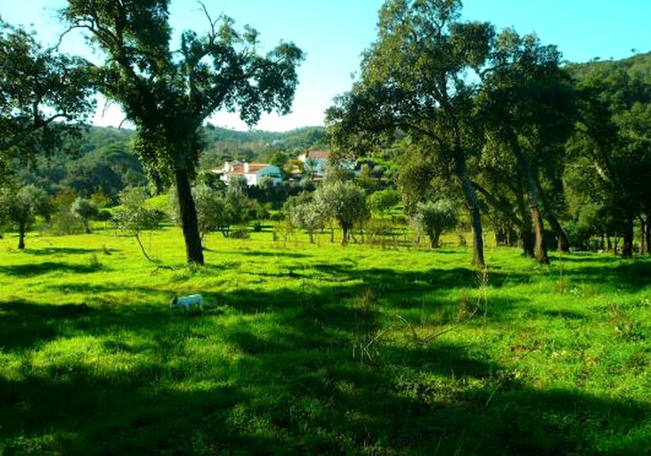 Tipis (Grândola, Setúbal District, Portugal)