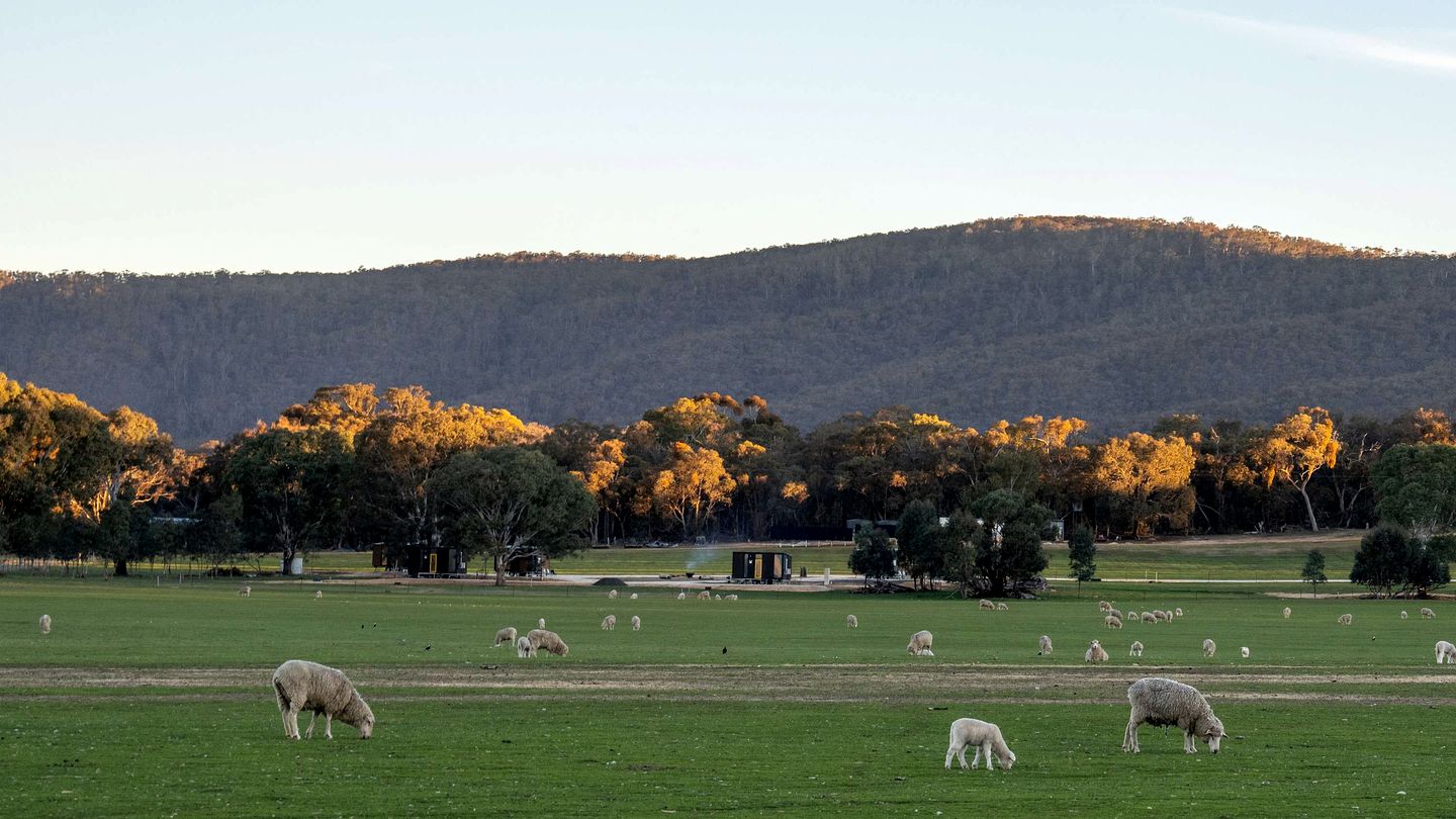 Peaceful Farmstay Tiny House Surrounded by Wildlife near Pyrenees Wineries, Victoria