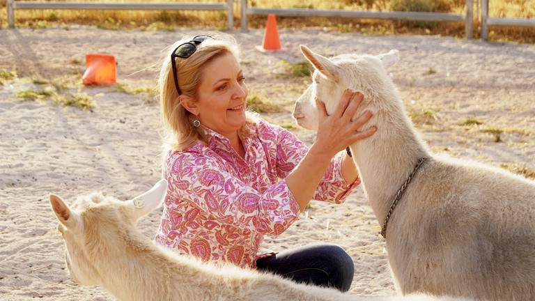 Vacation Rentals (Australia, --, --)