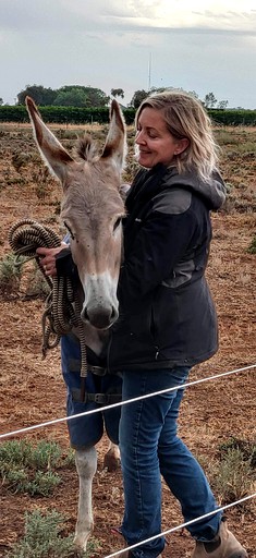 Vacation Rentals (Australia, --, --)