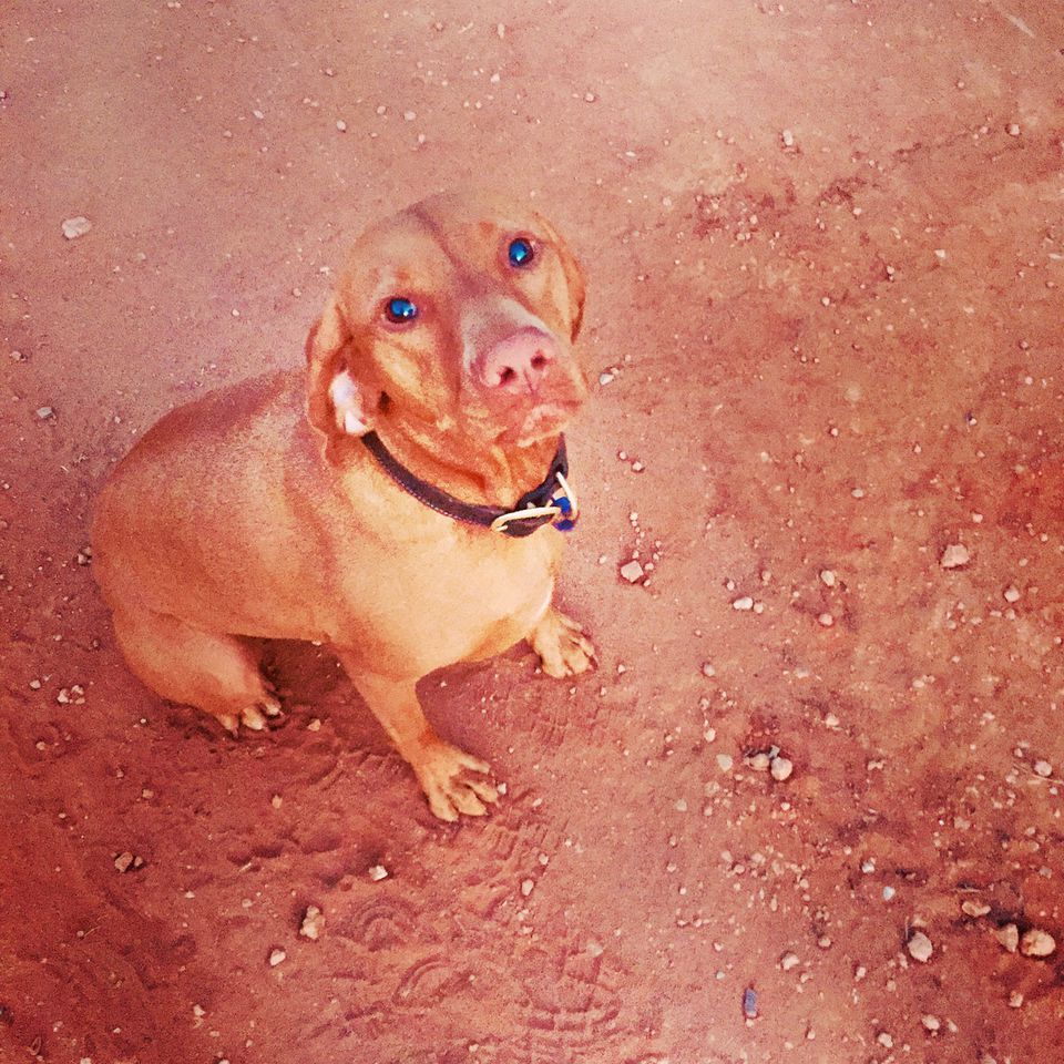 Wonderful Off-Grid Tiny House on Working Farm in Lake Boga, Australia