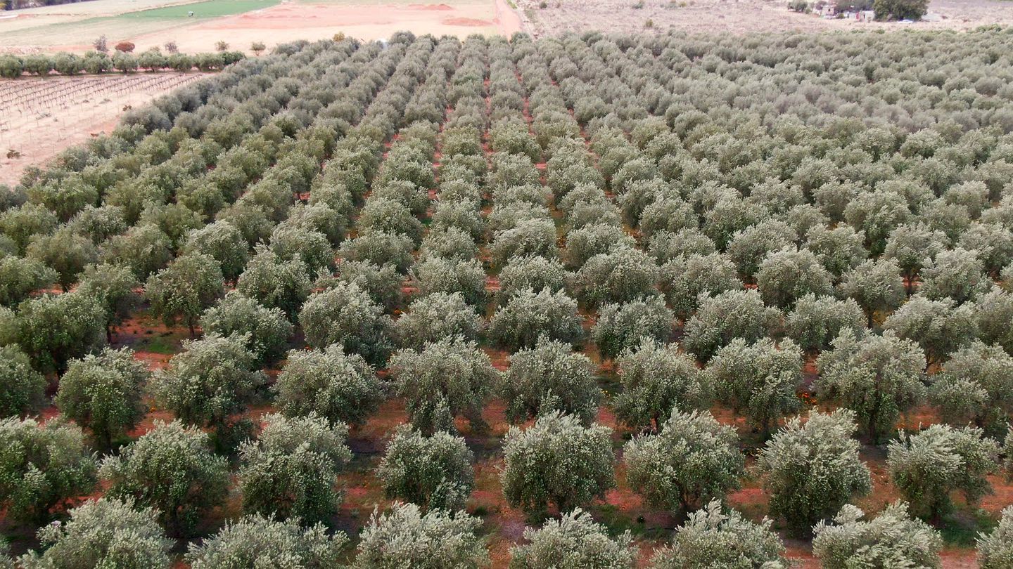 Wonderful Off-Grid Tiny House on Working Farm in Lake Boga, Australia