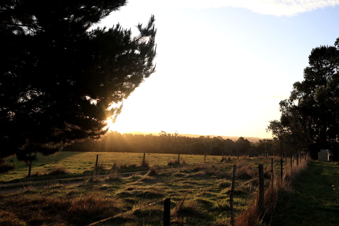 Eco-Friendly Tiny House in an Olive Grove on a Sustainable Organic Olive Farm for a Peaceful Outdoor Experience in Taggerty, Victoria
