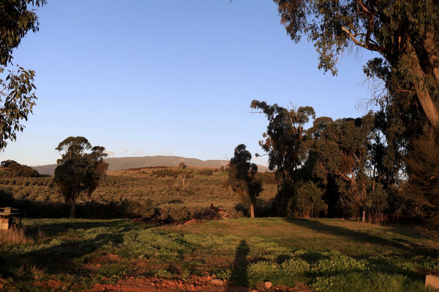 Eco-Friendly Tiny House in an Olive Grove on a Sustainable Organic Olive Farm for a Peaceful Outdoor Experience in Taggerty, Victoria