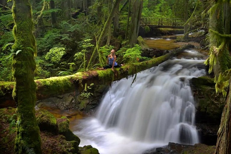 Cabins (Roberts Creek, British Columbia, Canada)