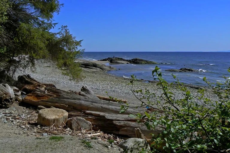 Cabins (Roberts Creek, British Columbia, Canada)