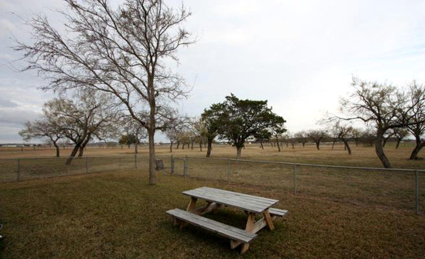 Secluded Cottage Getaway with a Barbecue Grill near Fredericksburg, Texas
