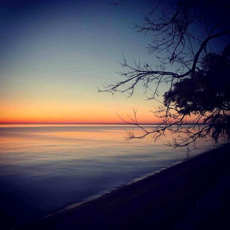 Beachfront Cottage with Stunning Sights in Leamington, Ontario
