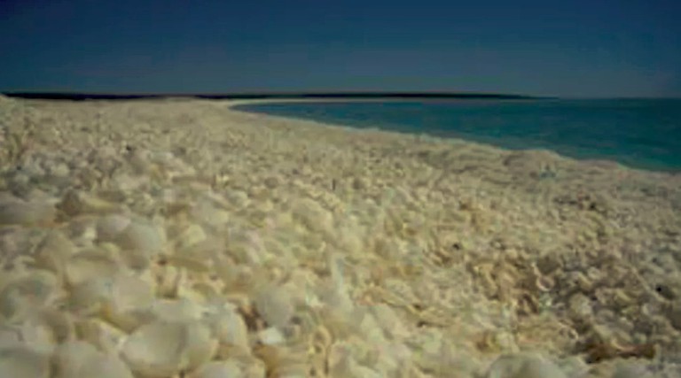 Nature Lodges (Shark Bay, Western Australia, Australia)