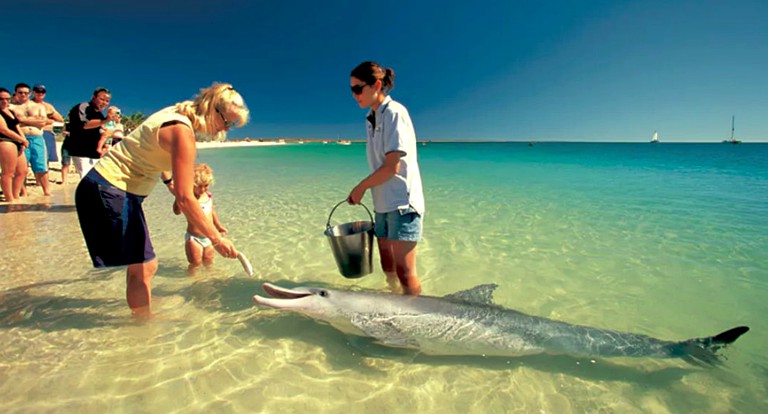 Nature Lodges (Shark Bay, Western Australia, Australia)