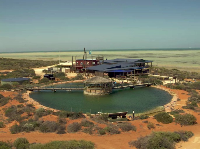 Nature Lodges (Shark Bay, Western Australia, Australia)