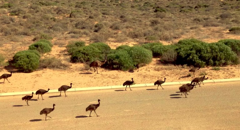 Nature Lodges (Shark Bay, Western Australia, Australia)