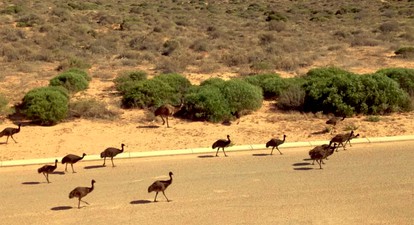 Couples' Retreat on Shark Bay in Denham, Western Australia photo 5