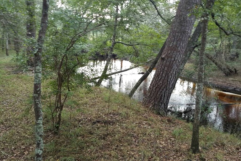 Vacation Rentals (United States of America, --, --)