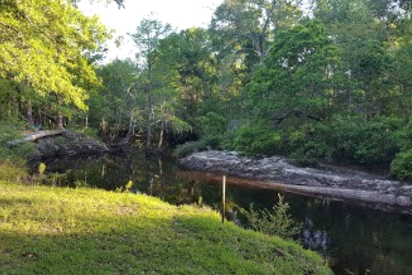Georgia's Coziest Riverside Retreat: Cabin Adventure in Claxton