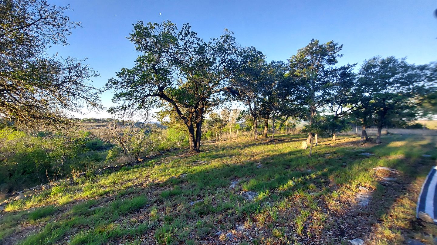 One of a Kind Converted School Bus Offers Scenic, Texan Tranquility in Purdon Groves
