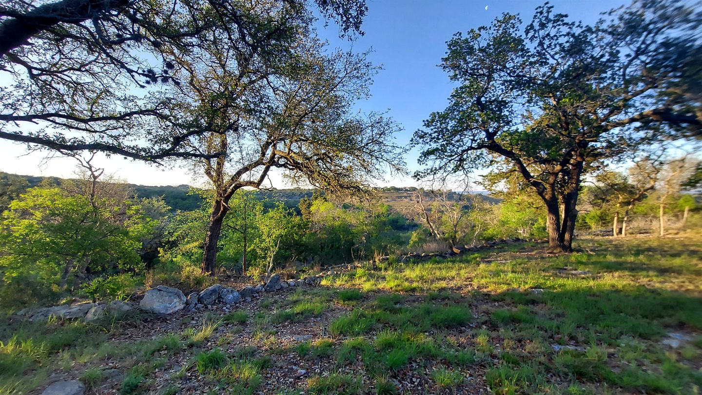 One of a Kind Converted School Bus Offers Scenic, Texan Tranquility in Purdon Groves