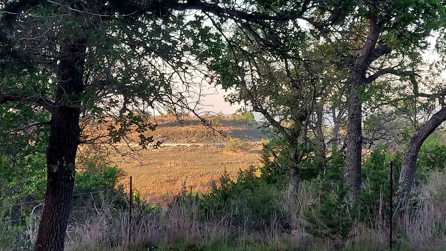 One of a Kind Converted School Bus Offers Scenic, Texan Tranquility in Purdon Groves