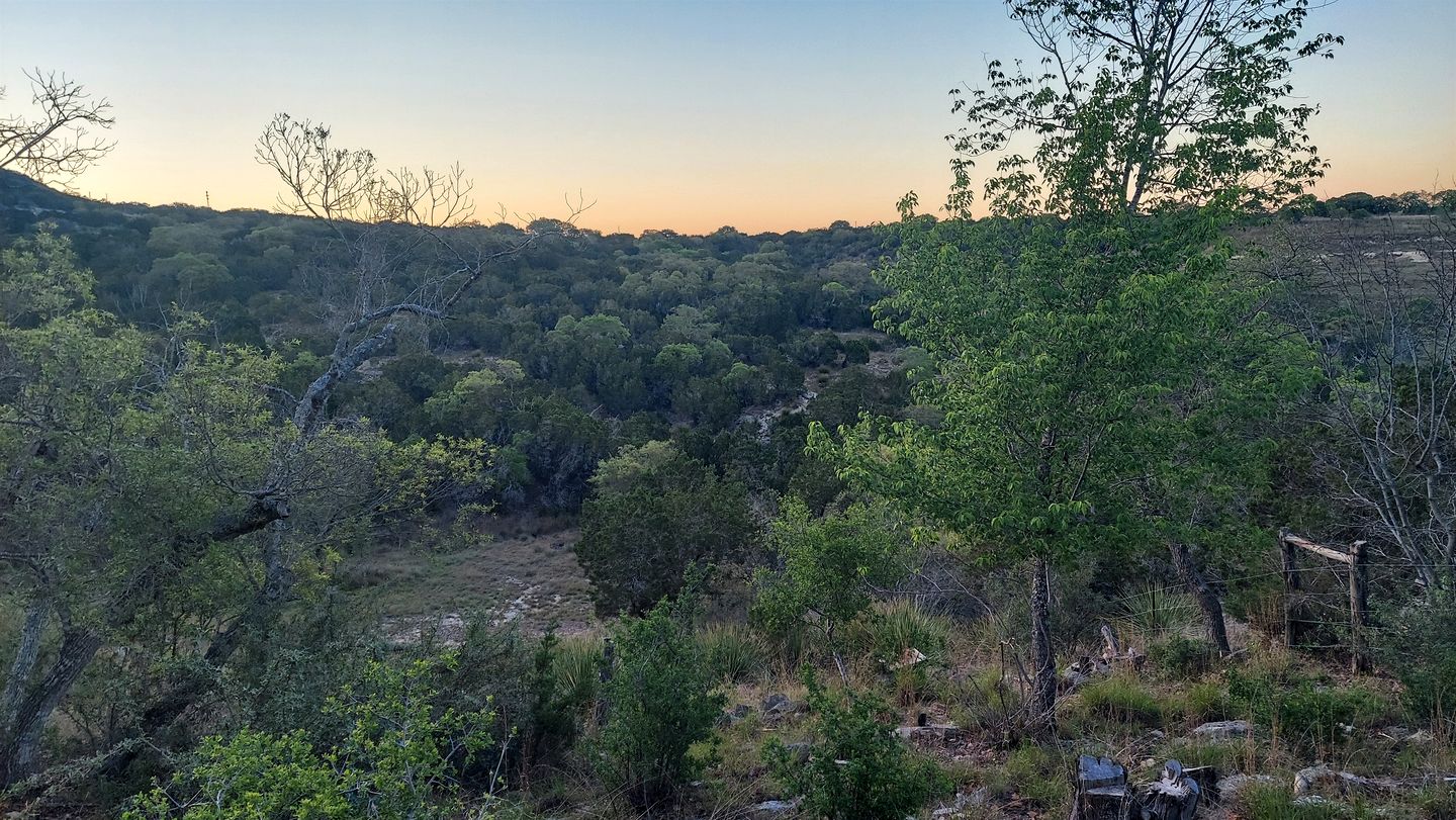 One of a Kind Converted School Bus Offers Scenic, Texan Tranquility in Purdon Groves