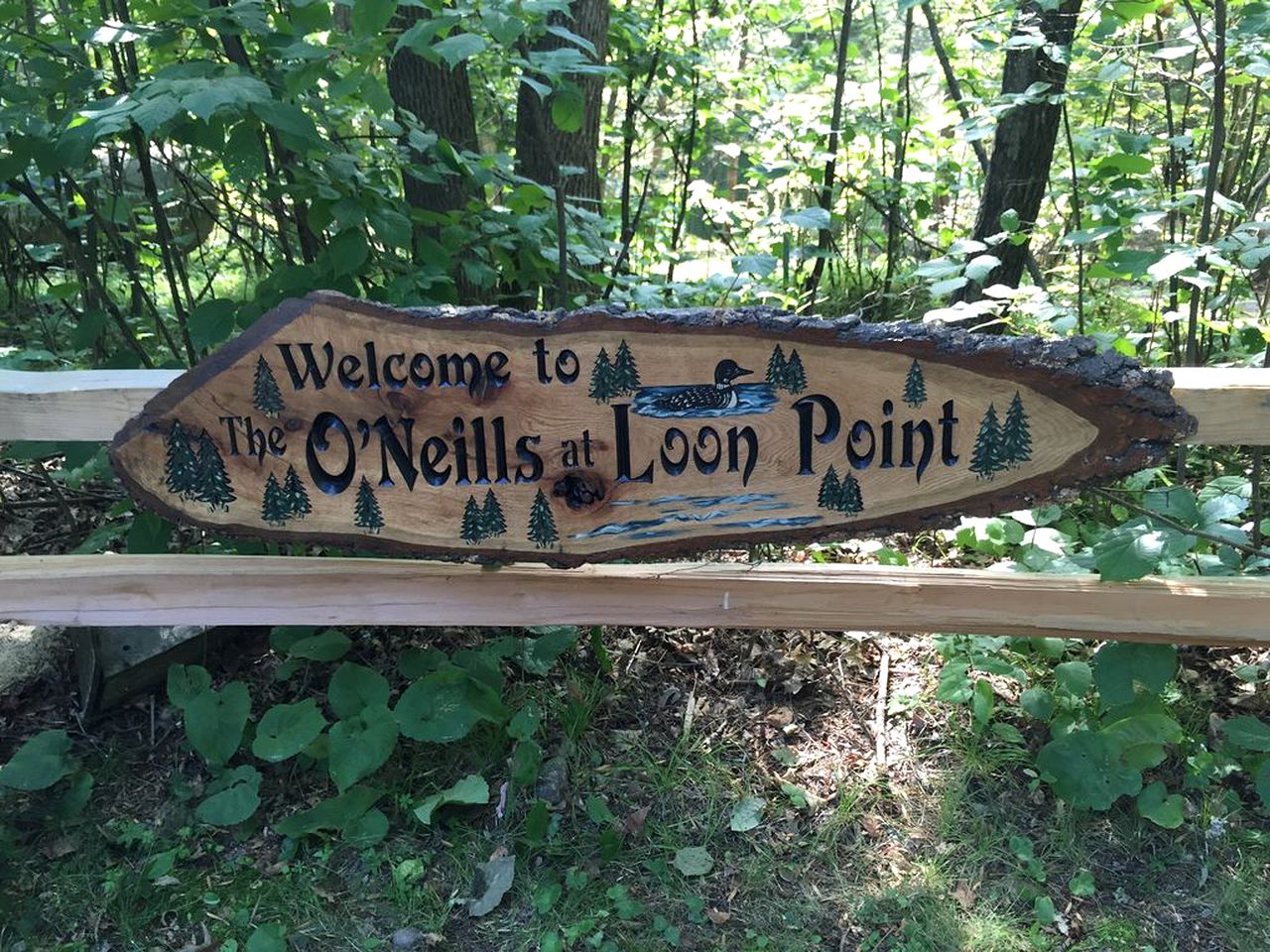 Lakefront Luxury Cabin with Private Beach near Bemidji, Minnesota