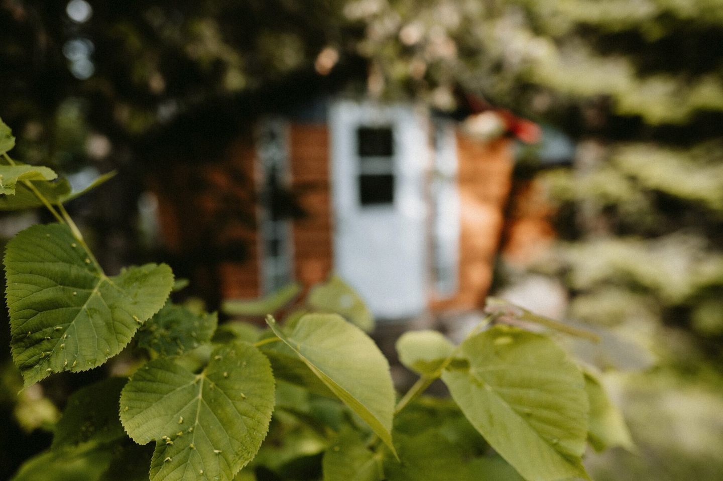 Ontario Glamping Cabin, Perfect for Discovering the Ottawa Valley