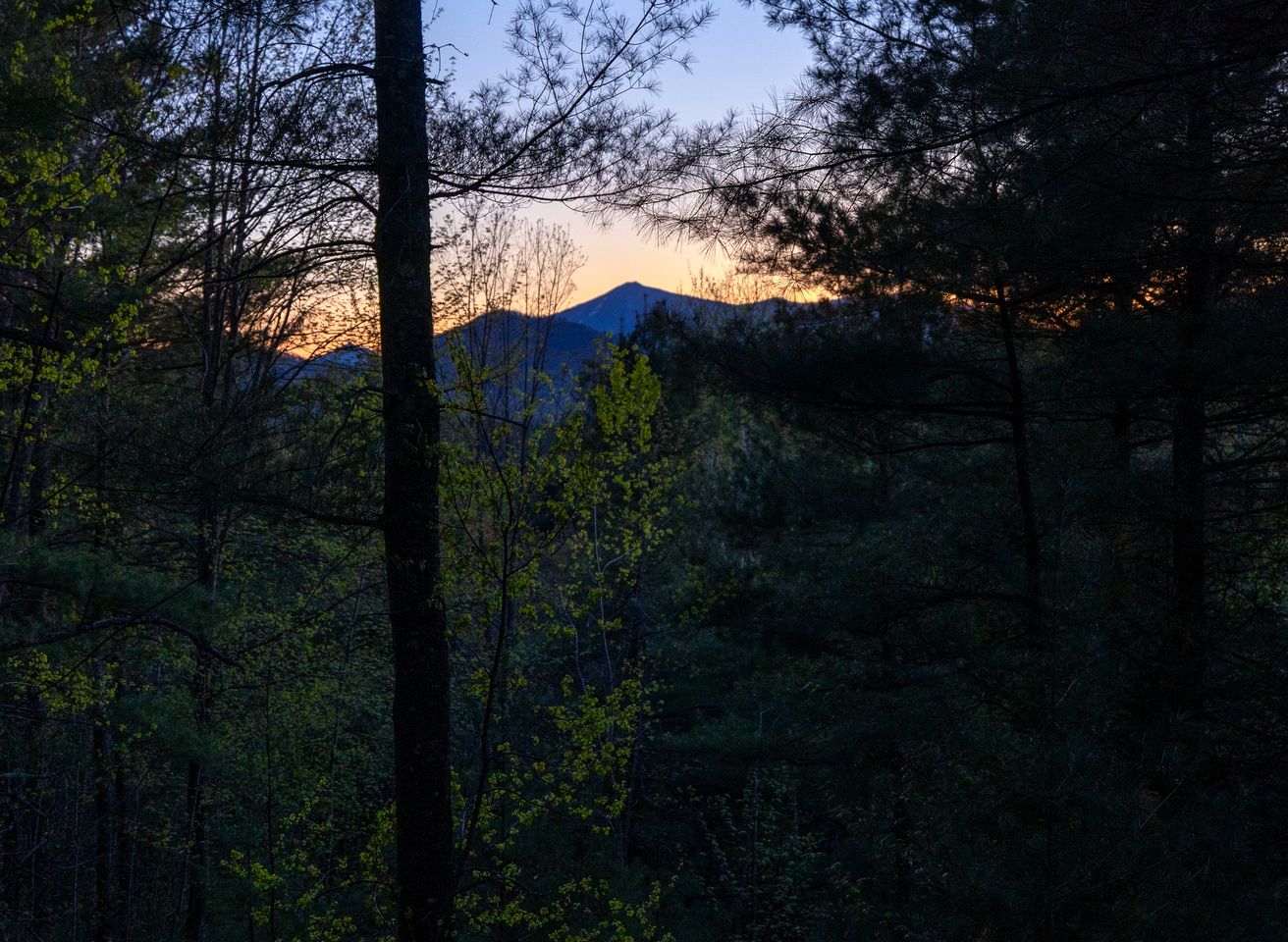 Gorgeous Scandinavian Mirror Glass Cabin in the Adirondacks for an Unforgettable Getaway in Jay, New York