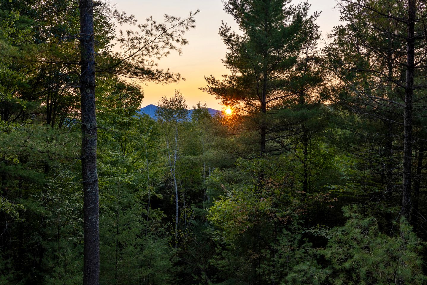 Gorgeous Scandinavian Mirror Glass Cabin in the Adirondacks for an Unforgettable Getaway in Jay, New York
