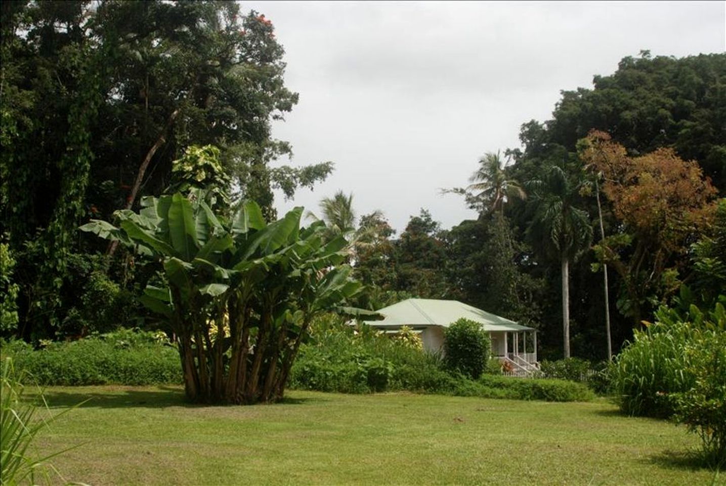 Historic Villa Rental with Amazing Tropical Gardens in Keaau, Hawaii