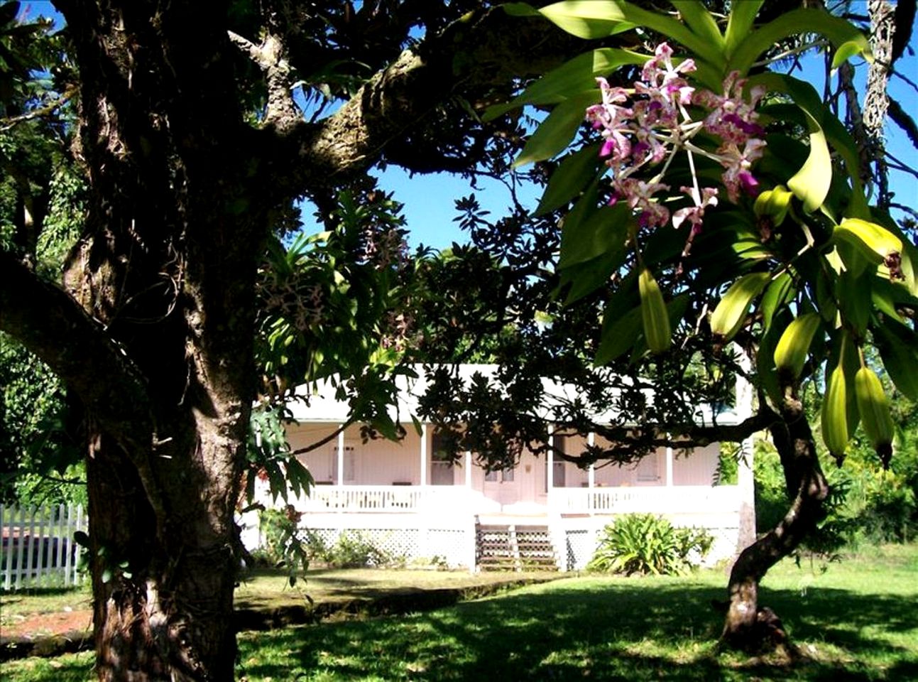 Historic Villa Rental with Amazing Tropical Gardens in Keaau, Hawaii