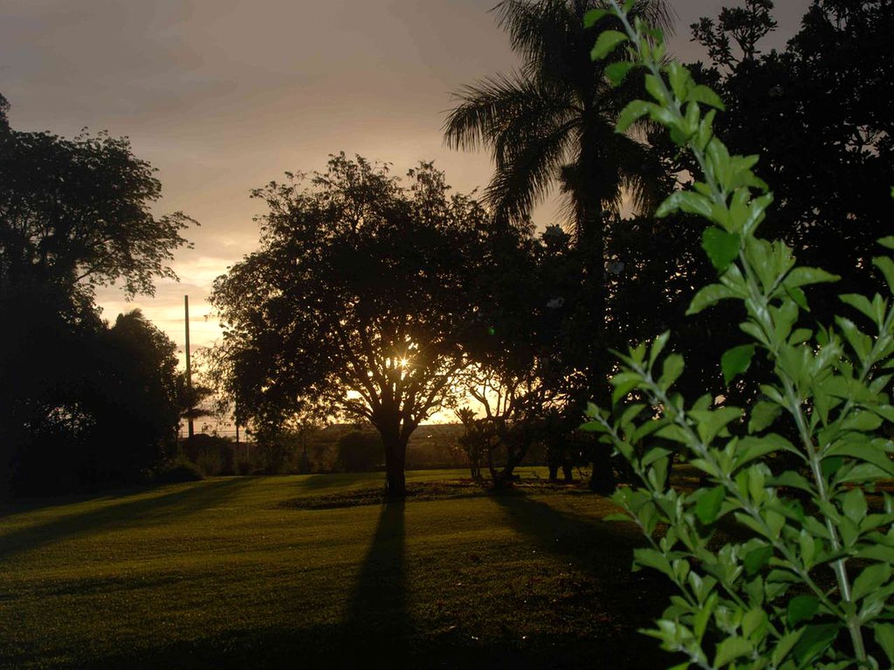 Historic Villa Rental with Amazing Tropical Gardens in Keaau, Hawaii