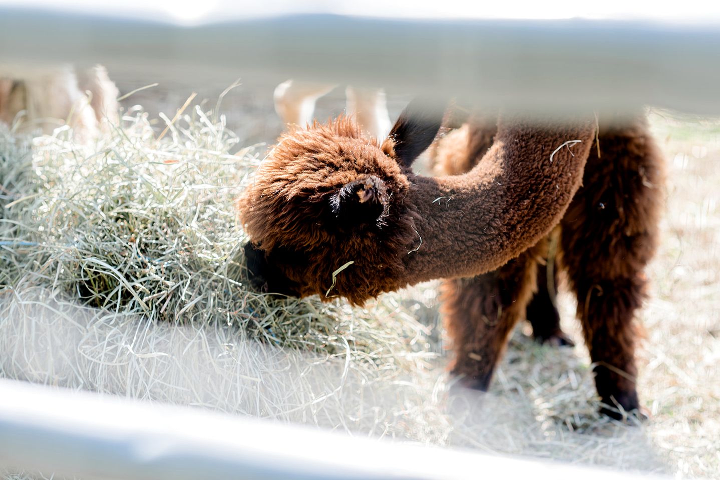 Unique Off-Grid Dome Escape with Hot Tub & Forest Views in Ontario, Canada
