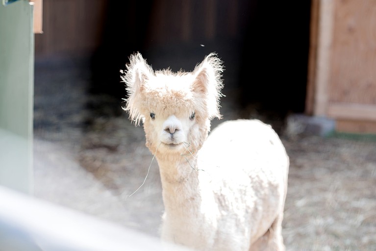 Domes (Canada, Marmora, Ontario)