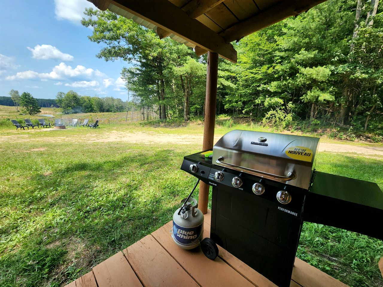 Secluded Rustic Cabins with Private Pond & Trails near ORV Routes in White Cloud, Michigan