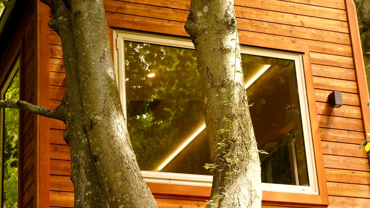 Quiet Private Cabin with Forest Spa Escape Near Bushland | Queenstown, New Zealand