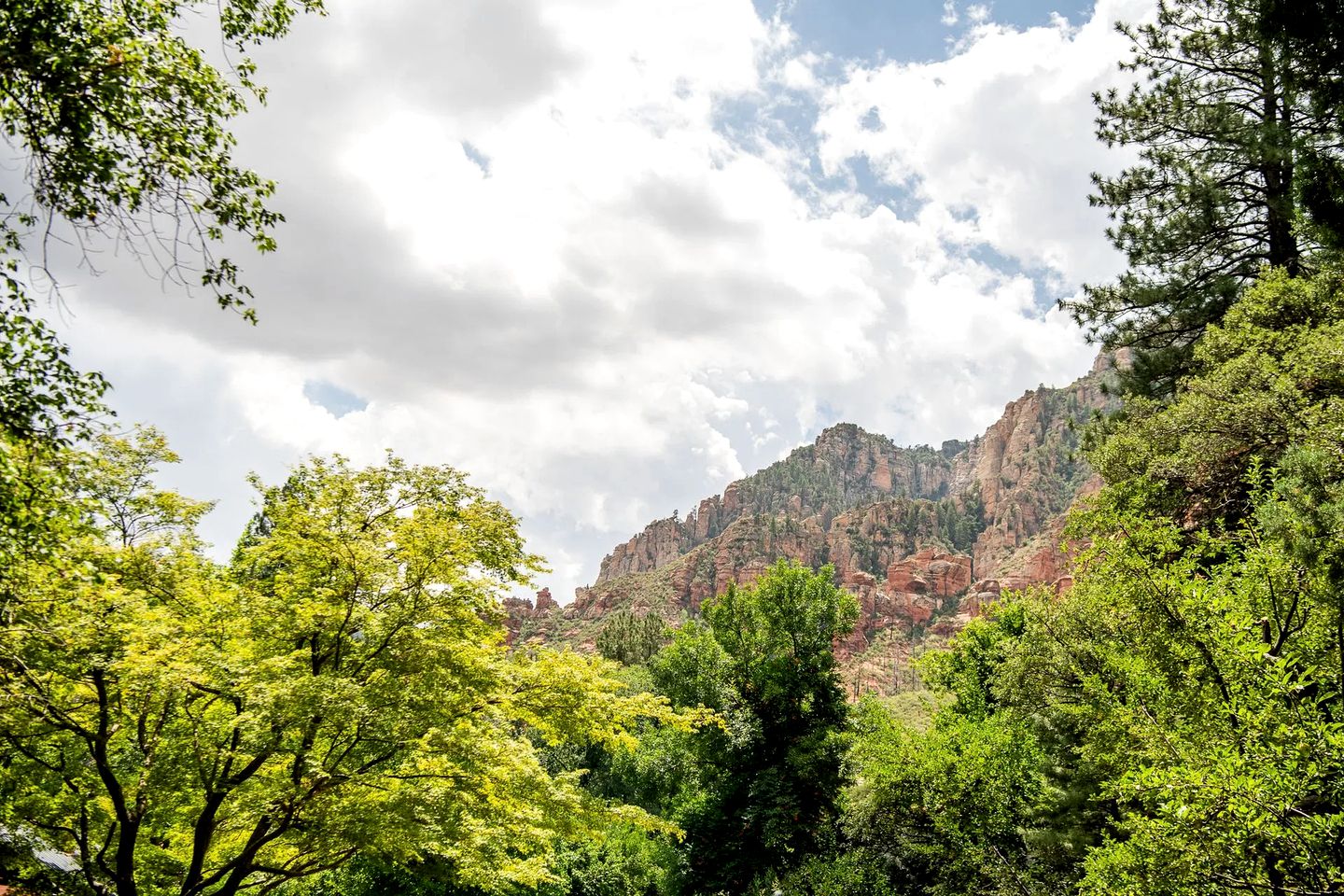 Secluded Cabin Rental for Group Vacation in Oak Creek Canyon