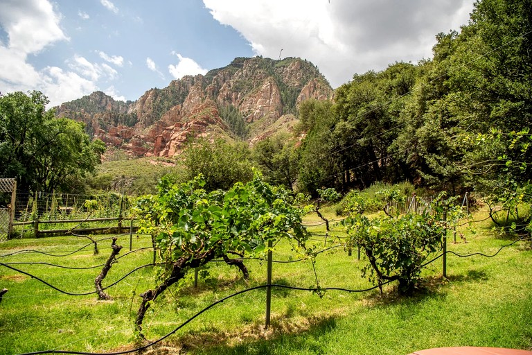 Lovely and Rustic Cabin Rental with Garden Views in Sedona, Arizona | Cabins (Sedona, Arizona, United States of America)