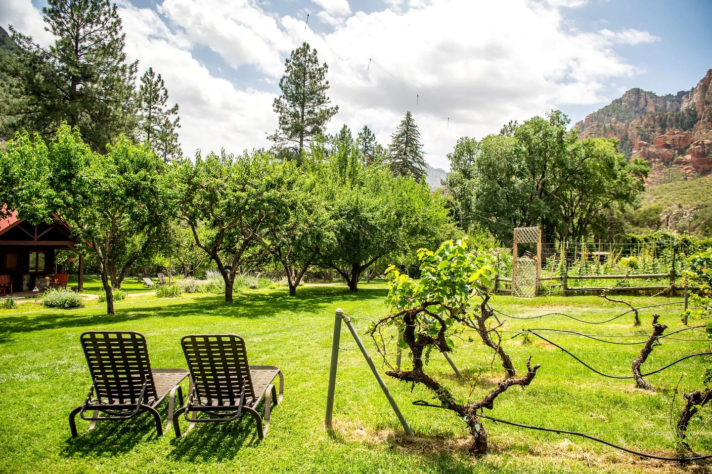 Lovely and Rustic Cabin Rental with Garden Views in Sedona, Arizona