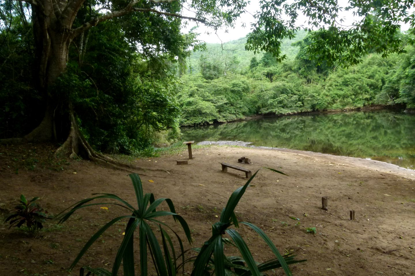 Authentic Cabana Getaway in the Heart of the Jungle in Western Belize