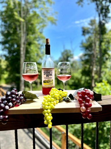 Cabins (United States of America, Gatlinburg, Tennessee)