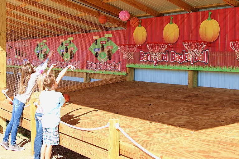 CLONED Cozy Conestoga Covered Wagon for 6 on Oklahoma Farm, for Memorable Glamping Vacations | Caravans (Moore, Oklahoma, United States of America)