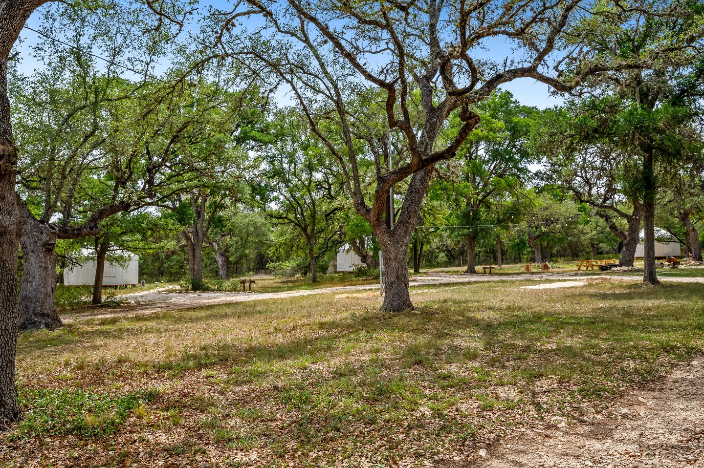 Romantic Glamping Yurt near Canyon Lake, Perfect for an Escape from San Antonio, Texas