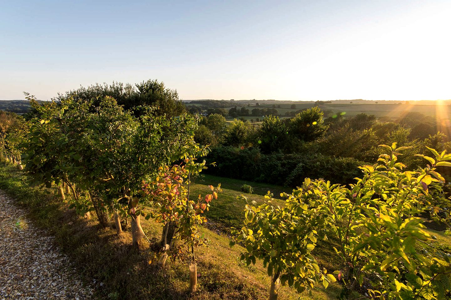 Relaxing Rural Pod Stay with Fire Pit Evenings Under the Sky in England, United Kingdom
