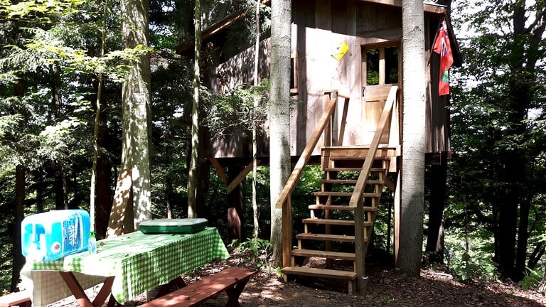 Picnic all set up in beautiful, secluded tree house: vacations available now