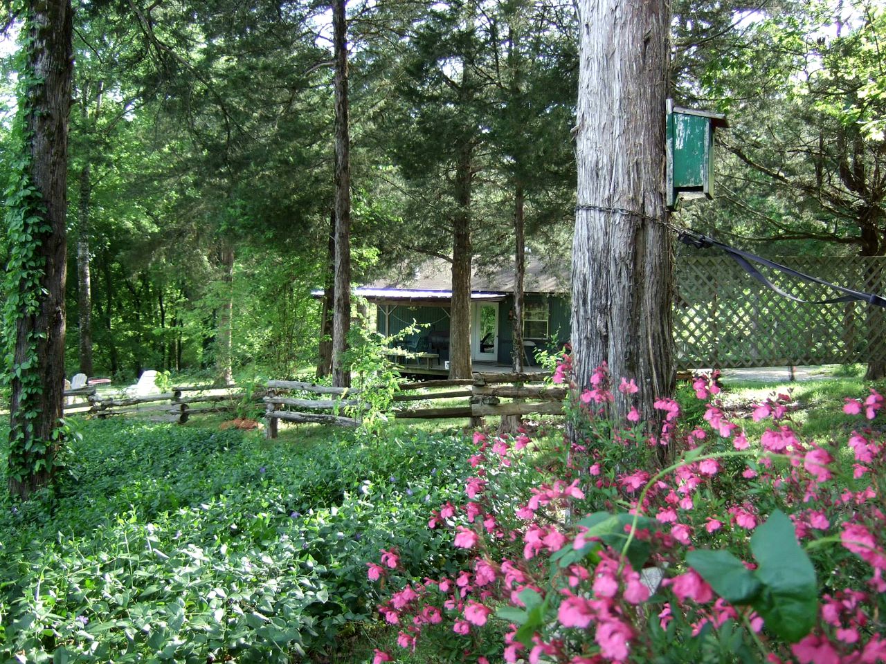 Bungalow Cabin on the Ouachita River, Arkansas