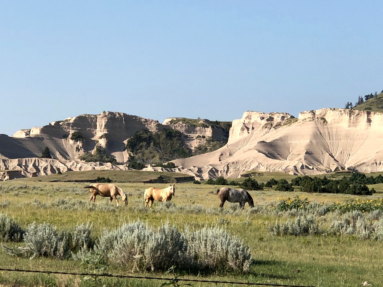 Cozy Cottage Rental for Six on a Working Ranch in Crawford, Nebraska