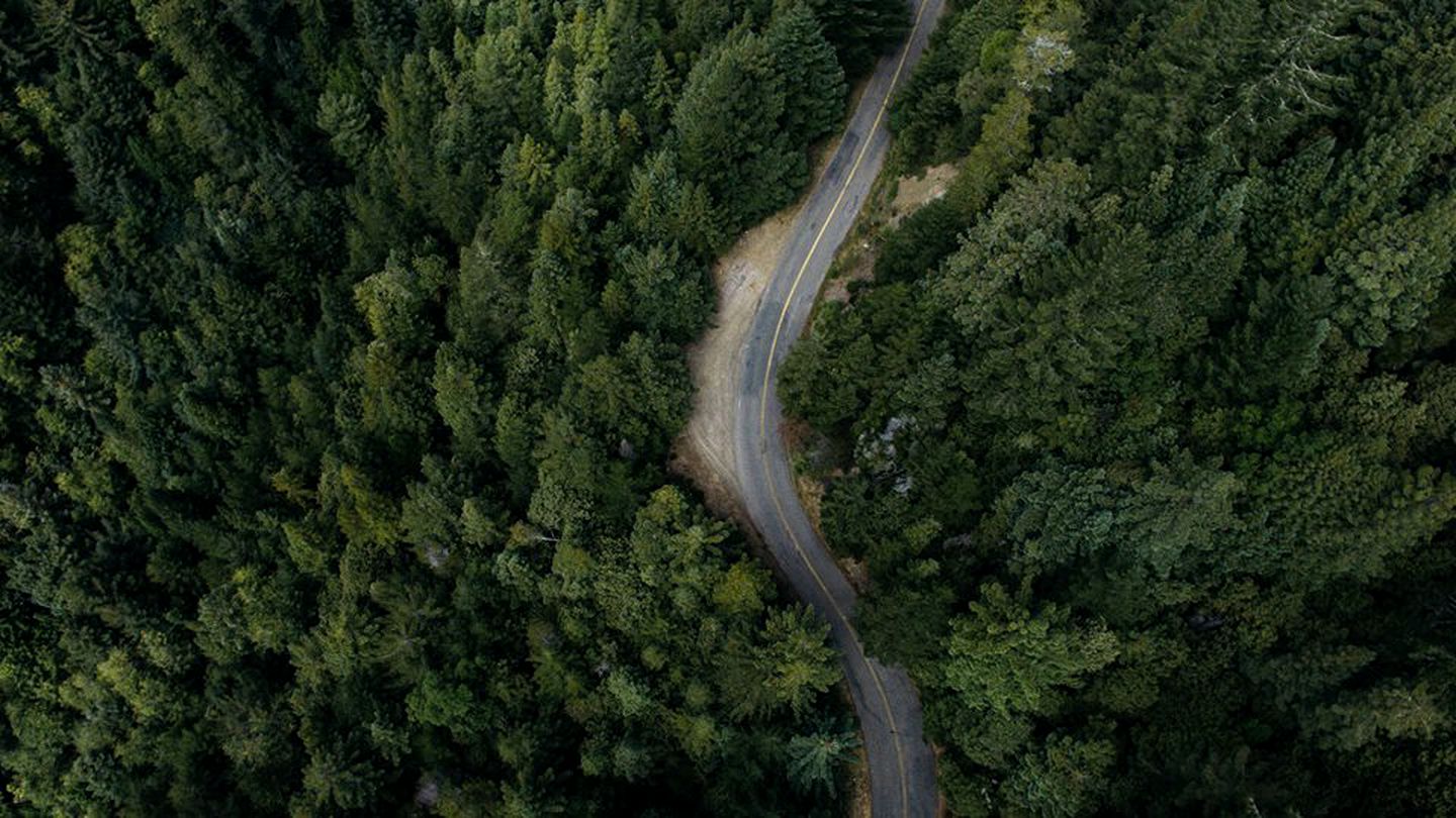 Incredible Campervan Rental Perfect for Exploring the San Francisco Bay Area