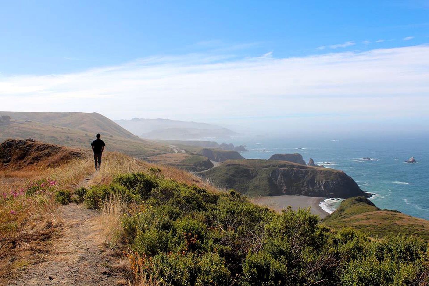 Incredible Campervan Rental Perfect for Exploring the San Francisco Bay Area
