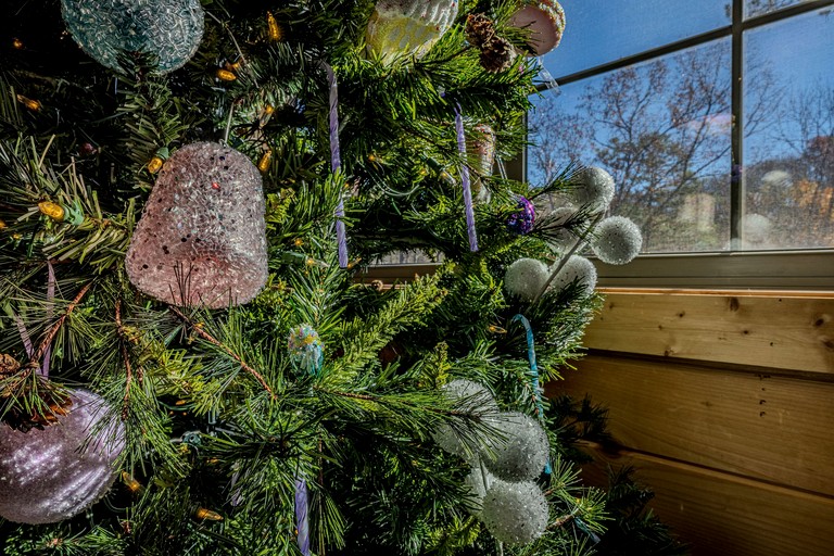 Cabins (United States of America, Sevierville, Tennessee)