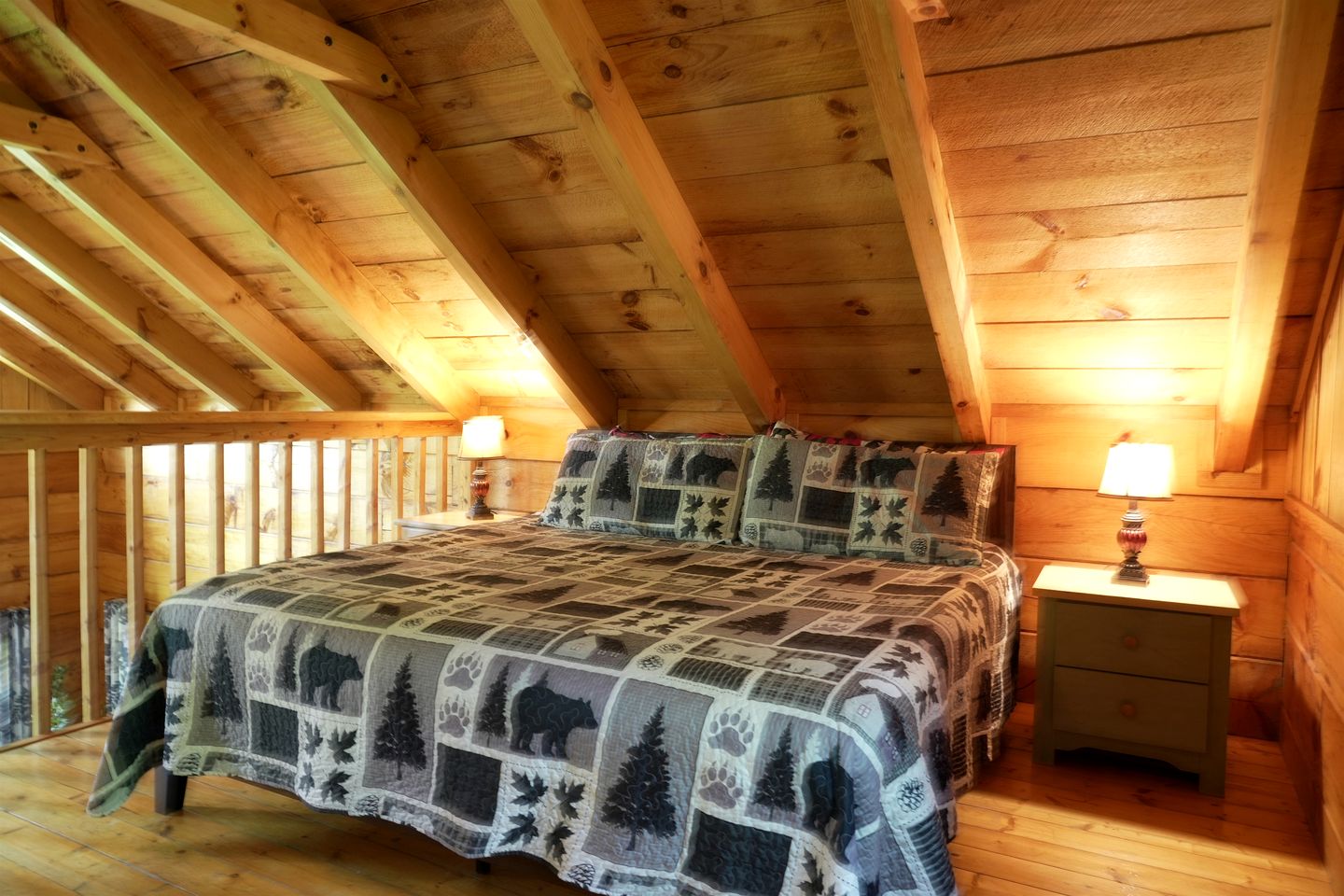 Outstanding Cabin with Hot-tub and Great Forest Views in Sevierville, Tennessee